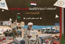 تكشف الصورة عن الدور الإغاثي والفجوة الموجودة أيضا في دور المنظمات الدولية والإقليمية في الحرب في السودان