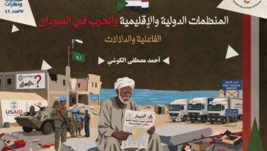 تكشف الصورة عن الدور الإغاثي والفجوة الموجودة أيضا في دور المنظمات الدولية والإقليمية في الحرب في السودان